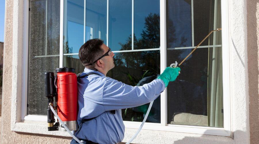 Professional pest control services in Lake Dallas